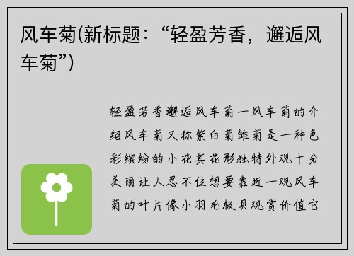 风车菊(新标题：“轻盈芳香，邂逅风车菊”)